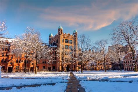 Tiger Mom Yale Secrets: Raise High Achievers