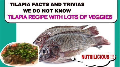 Tilapia Facts And Trivia That We Need To Know Tilapias With Lots Of