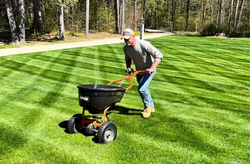 Tips For Fertilizing Your Lawn Greenview