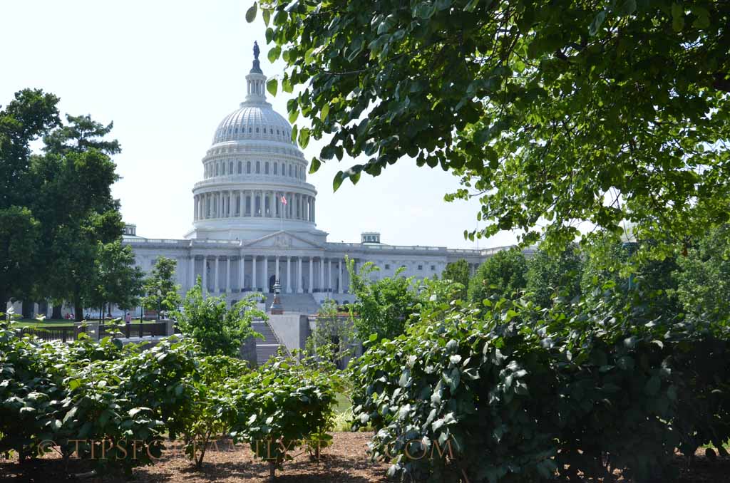 Tips For U S Capitol Tours With Kids Tips For Family Trips