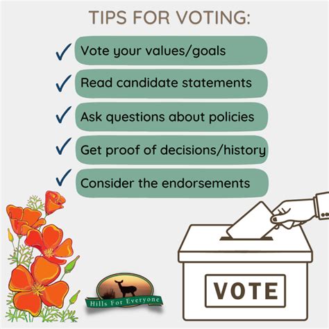 Tips For Voting Hills For Everyone