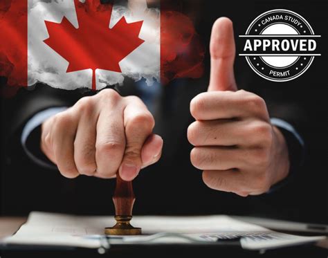 Tips To Increase Your Chances For Study Permit Approval In Canada Can