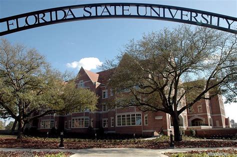 Top 10 Fsu Jobs To Help Pay For Gumby S College Magazine