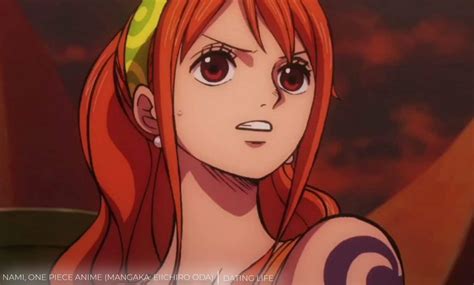 Top 10 Sexiest One Piece Female Characters In Bikini That Will Bring