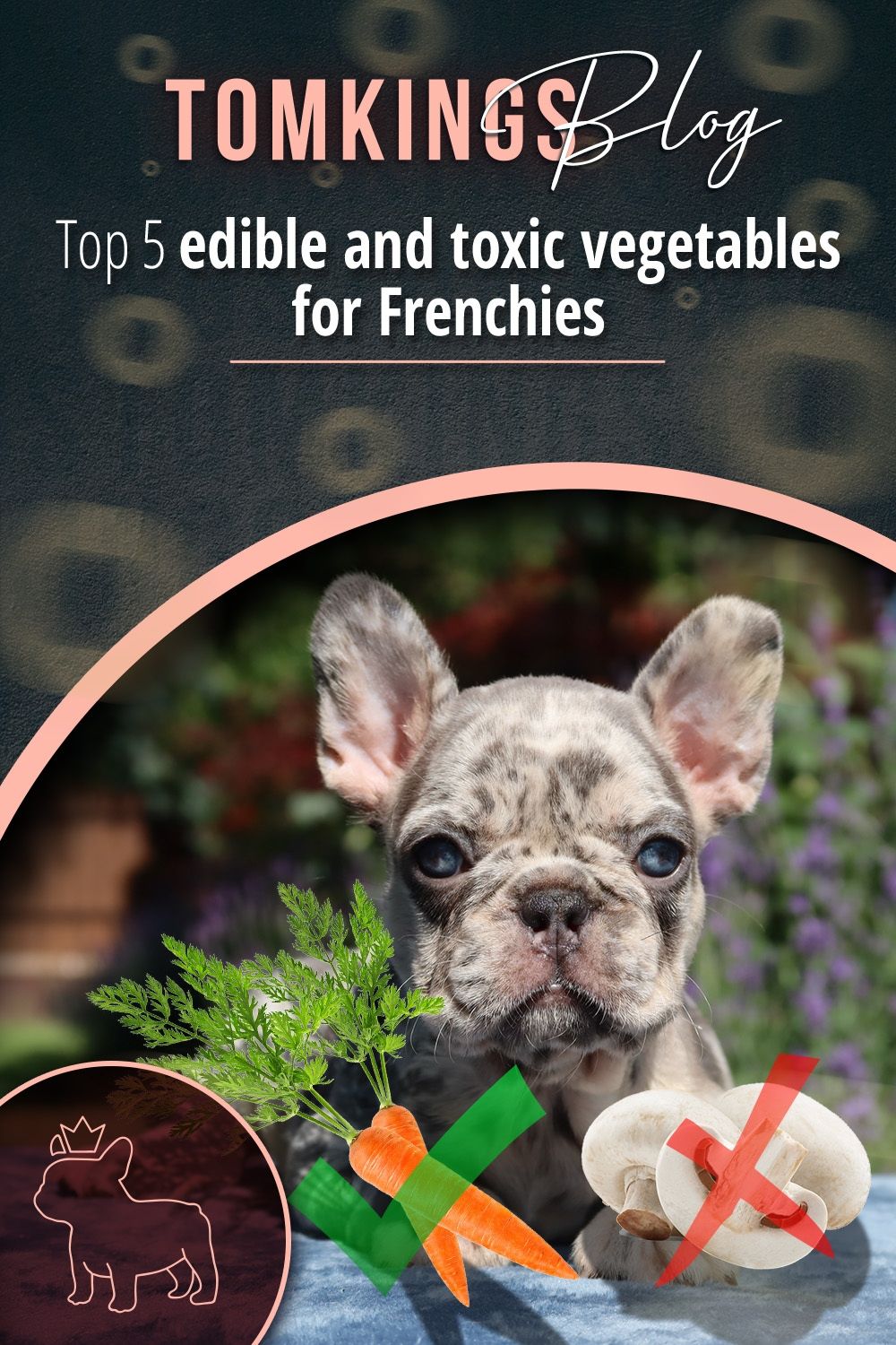 Top 5 Edible And Toxic Vegetables For Frenchies Tomkings Blog We