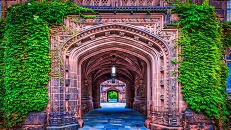 Top 50 Free Ivy League Online Courses 2024 College Values Online