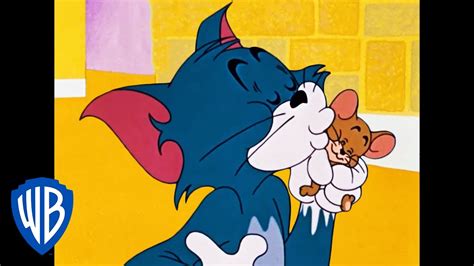 Top 999 Tom And Jerry Friendship Images Amazing Collection Tom And