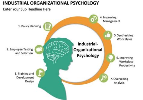 Top Industrial And Organizational Psychology Graduate Programs 2020