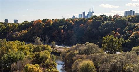 Toronto Amp 39 S Lower Don Trail To Officially Reopen This Weekend Events