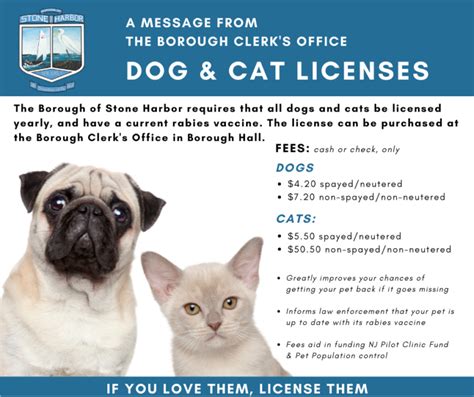 Toronto Cat License