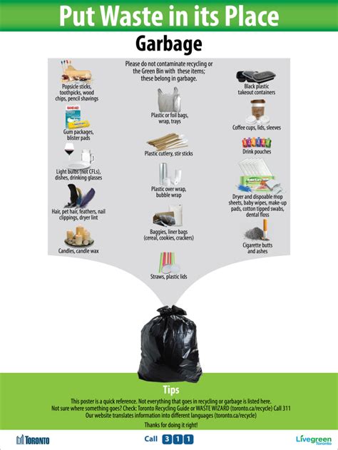 Toronto Garbage Dump Guide: Know Rules