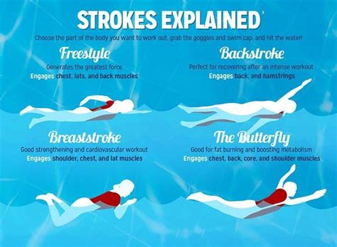 Toronto Lane Swim: Master Strokes & Techniques