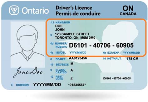 Toronto License Guide: Get Approved Fast