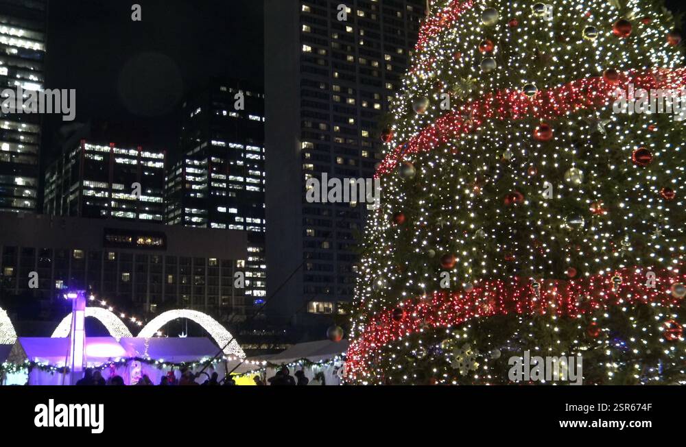 Toronto S Official Christmas Tree Gets Lit At Nathan Phillips Square