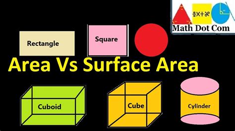 Total Surface Area Cross Section