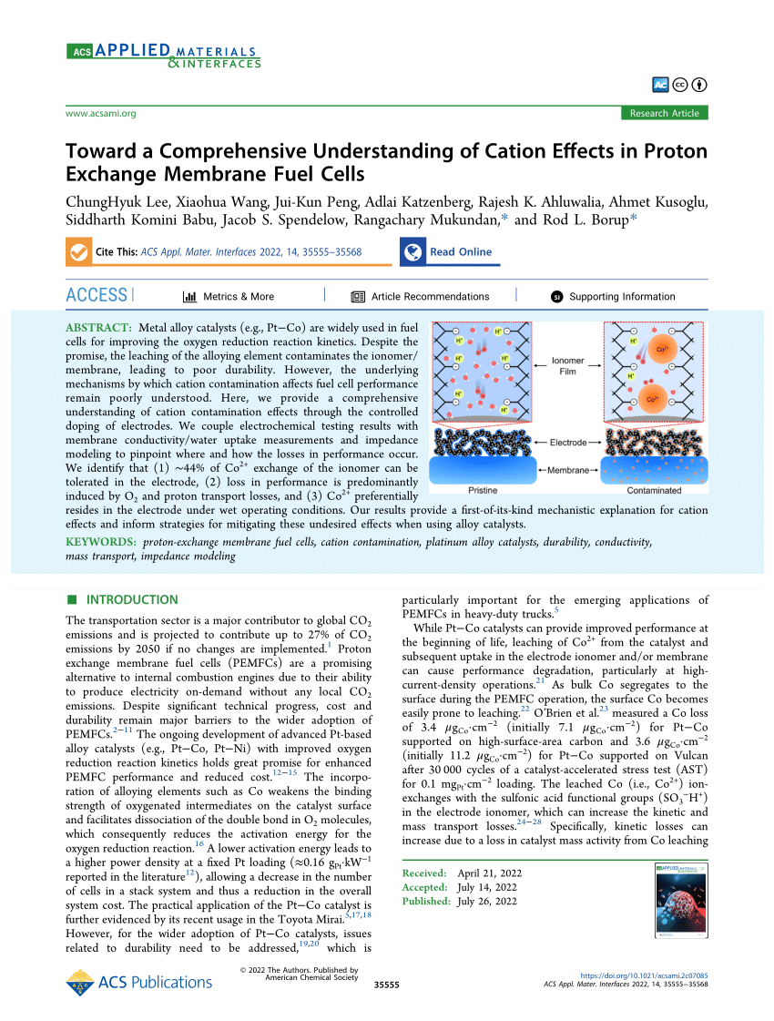 Toward A Comprehensive Understanding Of Cation Effects In Proton