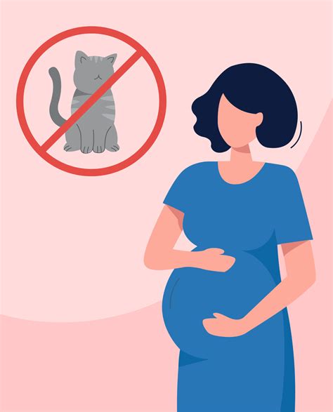 Toxoplasmosis In Pregnancy: Stay Safe & Healthy