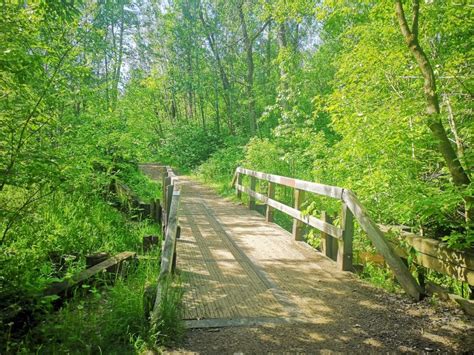 Trail Trek How To Mill Creek Ravine The Mill Woods Edition River