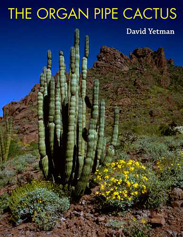 Transplanting An Organ Pipe Cactus Arm