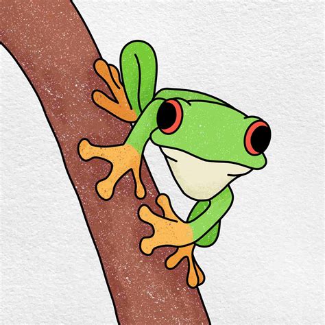 Tree Frog Drawing How To Draw Tree Frog Step By Step Frog Drawing