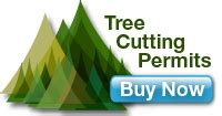 Tree Permit Alberta: Fast Track Your Project Approval