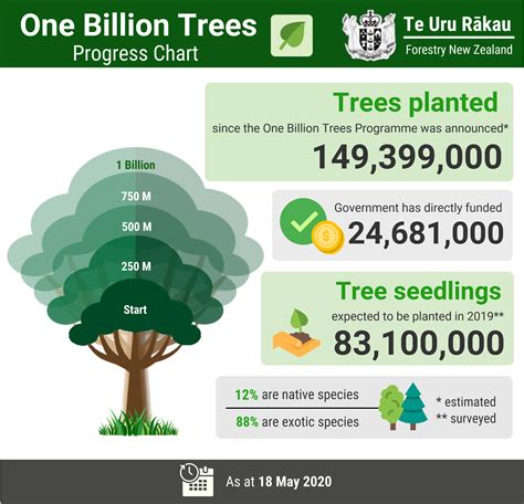 Trees On Earth: Discover 3 Billion Benefits