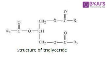 Triglyceride Structure Structure Composition Hydrolysis Of