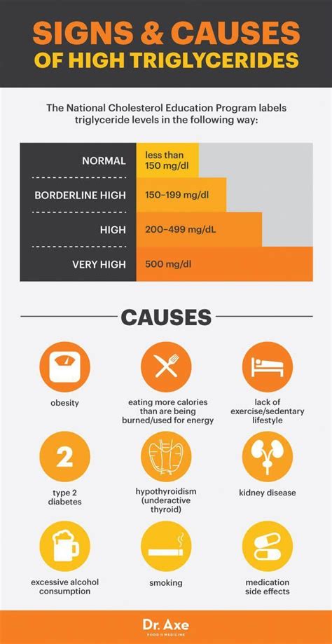 Triglycerides: Control Levels In Kids