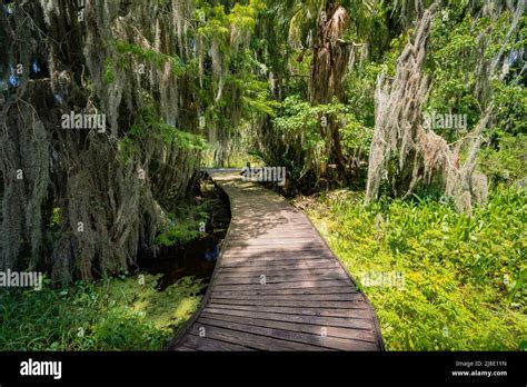 Trimble Park A Lakeside Park With Trails And Boardwalk In Mount Dora