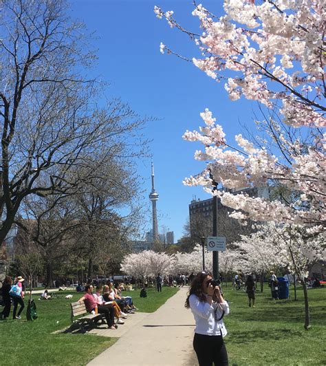 Trinity Square Park