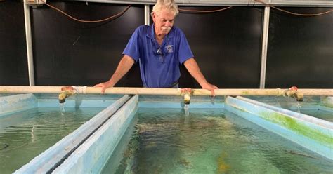 Tropical Aquaculture Lab