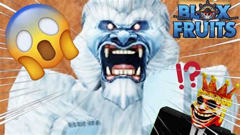 Trying To Fight The Yeti In Blox Fruits Youtube