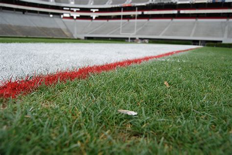 Turfgrass Management College Of Agricultural Amp Environmental Sciences