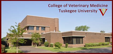 Tuskegee University Vet School Requirements Collegelearners Org