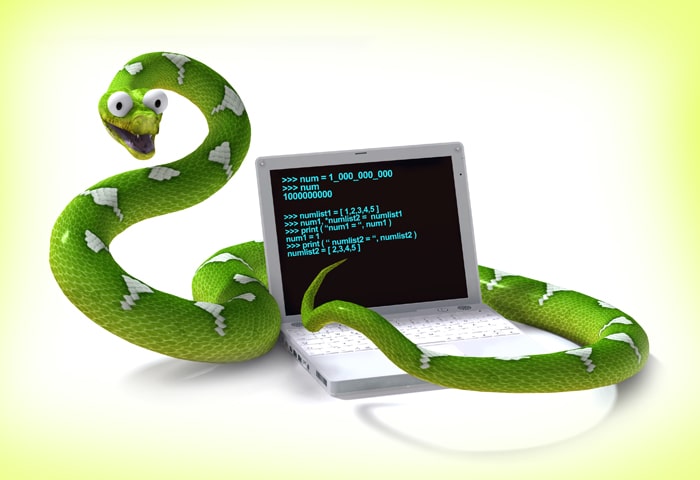 Twelve Python Tips For Beginners