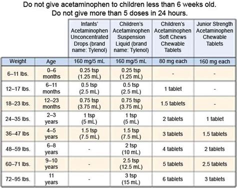 Tylenol Dose: Safe 24Hour Limits