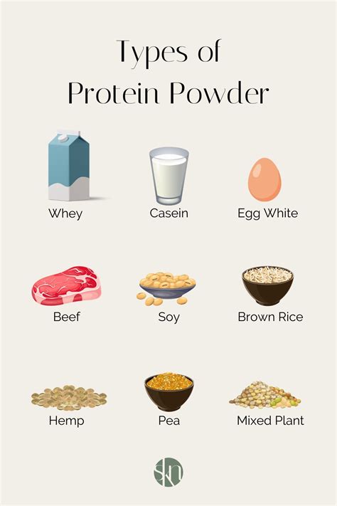 Types Of Protein Powder