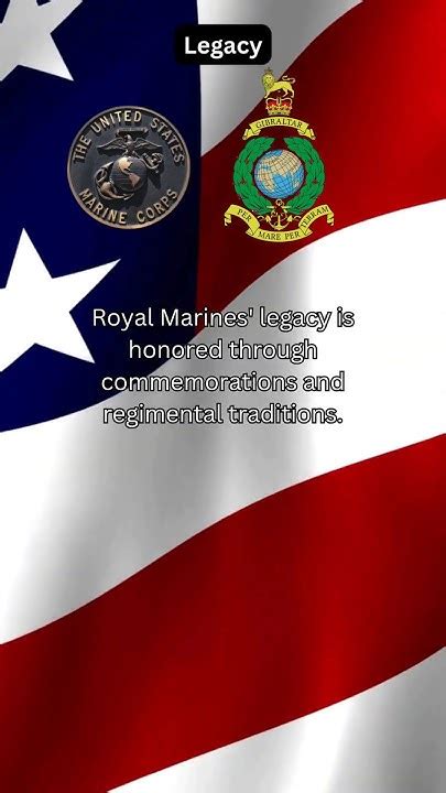 U S Marines Vs Royal Marines 60 Key Differences Uncovered 1