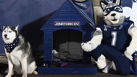 Uconn S Husky Mascot Jonathan Receives A Hero S Welcome