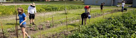 Uf Agronomy Programs: Career Success Blueprint