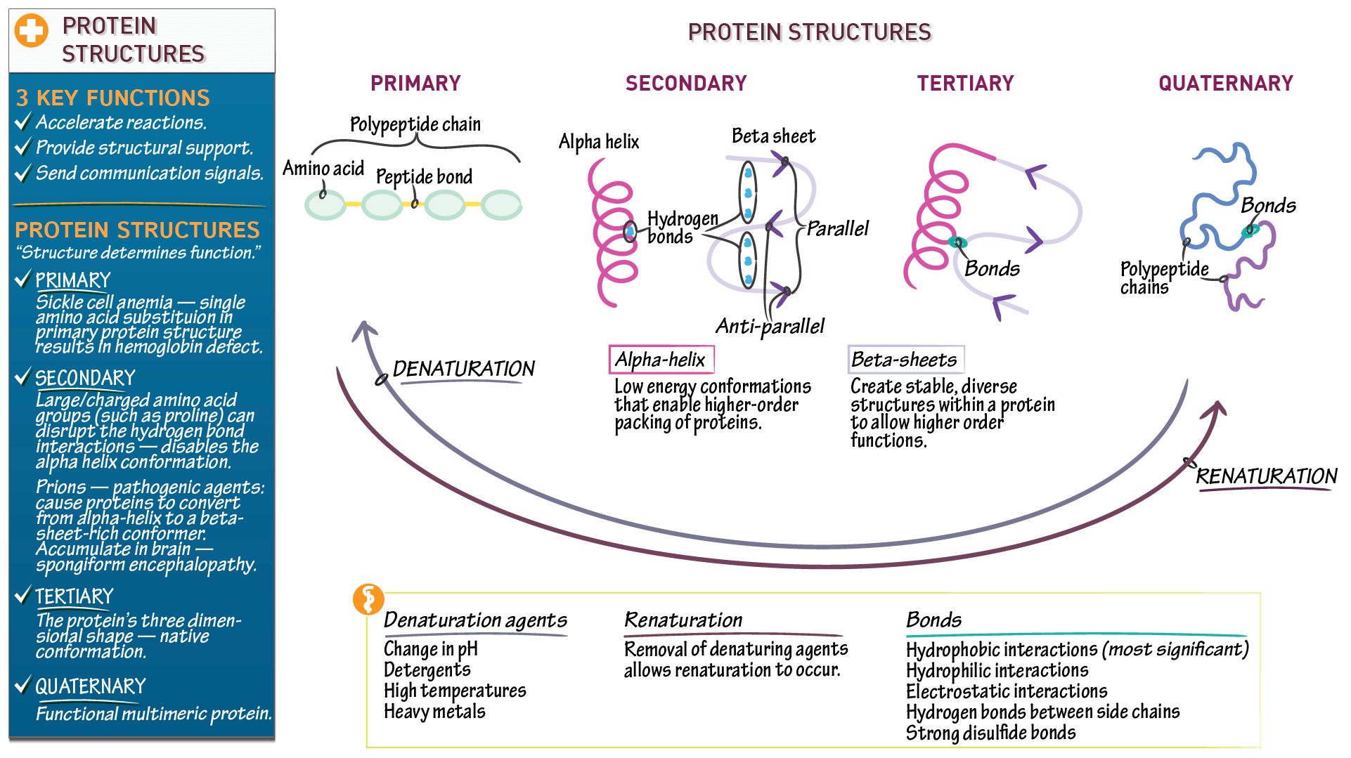 Uf Biochemistry: Comprehensive Degree Overview