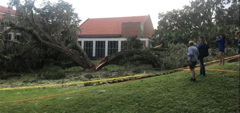 Uf Campus Before And After Irma S Destruction