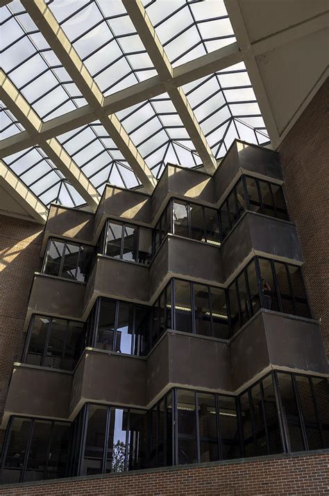 Uf Marston Science Library Skylight Photograph By Lynn Palmer