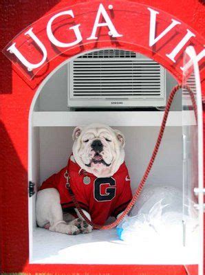 Uga In The Dawg House On Ice Georgia Bulldogs Football Georgia Dawgs