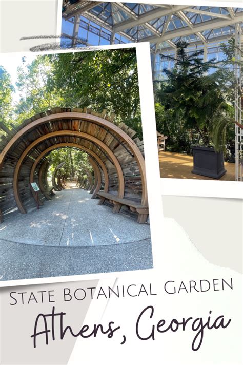 Uga State Botanical Garden Athens Georgia Hobbies On A Budget