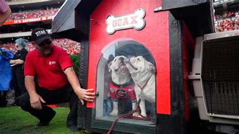 Uga X Amp Uga Xi Share Dawg House In Pregame Ceremony Watch