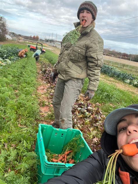 Ugarden Staff Blog A Student Run Community Farm Serving The Athens Area