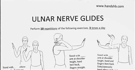 Ulnar Nerve Glides Pdf