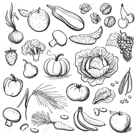 Une Collection De Croquis De Fruits Et L Gumes Photos Isol Es Sur Fond