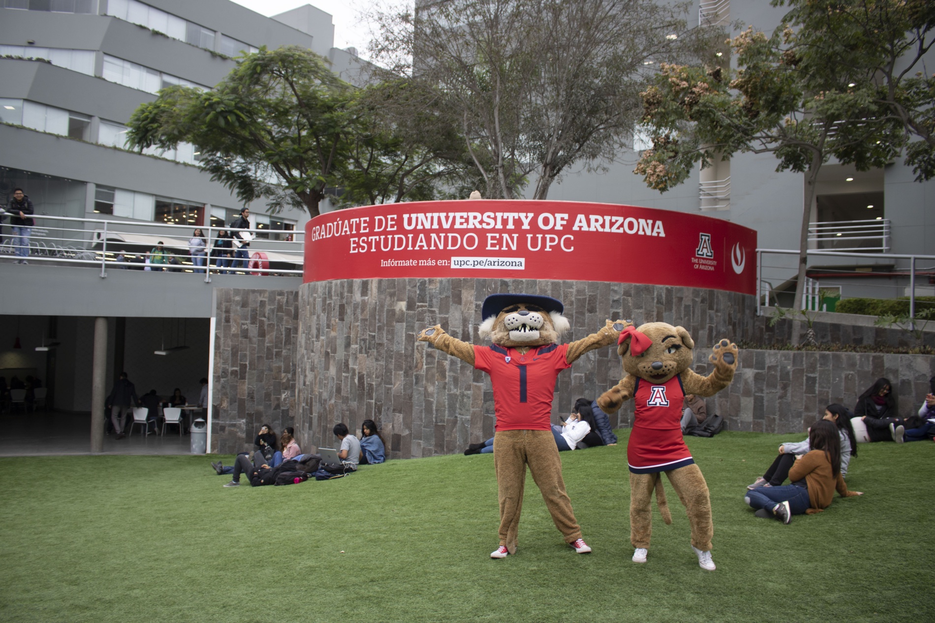 University Of Arizona Uaccess: Simplify Enrollment